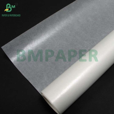 24gsm Food Grade Bleached Color Glassine Paper For Baking Cups 750 x 1000mm