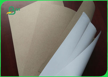 Clay Coated Duplex Board / Coated Paper Board 140gsm 170gsm Carton Paper