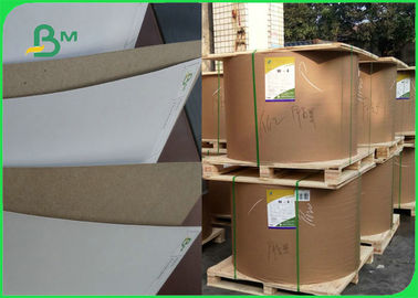 CCKB / Clay Coated Kraft Back Duplex Paper Board Roll Packing White Color