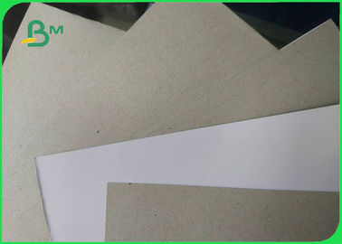 20pt Recycled CCNB White Clay Coated Duplex Board News Back Greyback