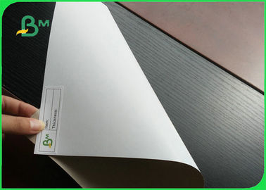 Grade AAA 350gsm Duplex Board CCNB / Clay Coated News Back for Packaging