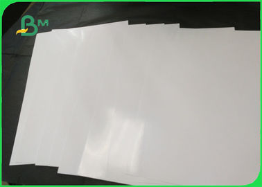 610mm x 30mm One Side Waterproof High Glossy Photo Paper 200gsm