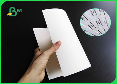 0.4mm 0.5mm 0.8mm Thickness Uncoated White Moisture Absorbing Paper Roll