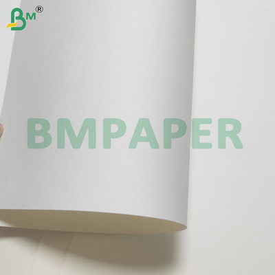 135-350 GSM Double Size PE Coated Waterproof Paper for Cup and Bowl
