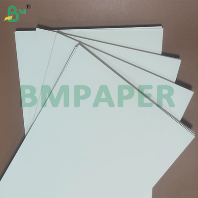 135-350 GSM Double Size PE Coated Waterproof Paper for Cup and Bowl