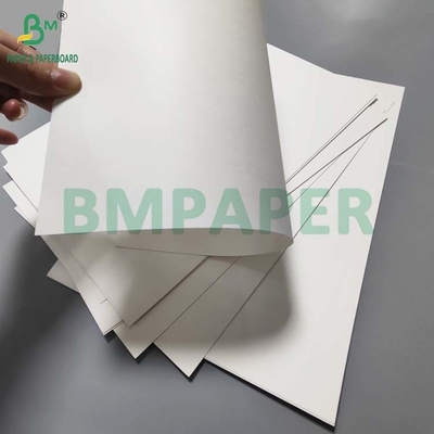 Food grade 190gsm+18g PE Coated Cup Paper For Hot Coffee Waterproof Oilproof