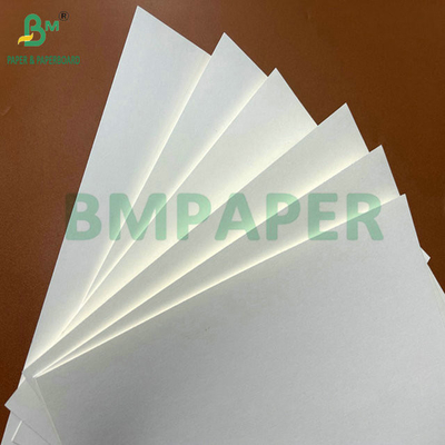 31inch 35inch  230gram 260gram PE Coated Cup Paper Roll For Coffee Cups