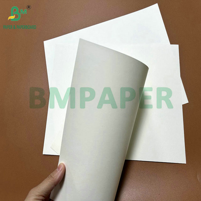 31inch 35inch  230gram 260gram PE Coated Cup Paper Roll For Coffee Cups