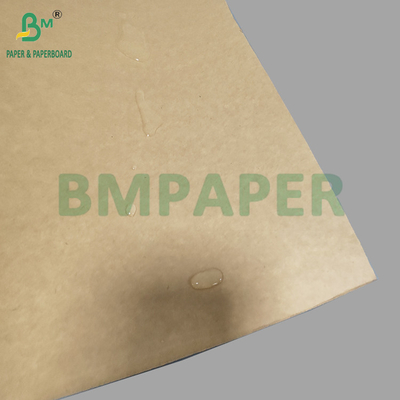 Food Grade Kraft 320gsm + 20g PE Coated Paper For Coffee Cup High Bulk 900mm