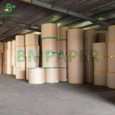 Food Grade Kraft 320gsm + 20g PE Coated Paper For Coffee Cup High Bulk 900mm