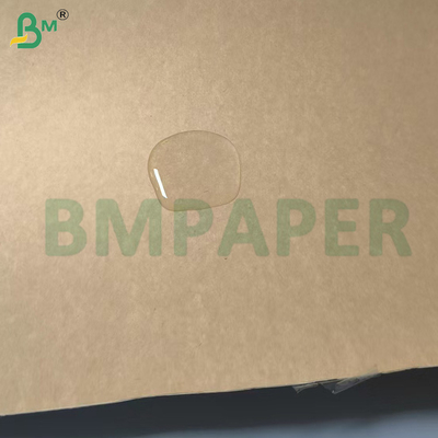 Plain Natural Brown Cup Base Paper 320g + 20g PE Coating Cupstock
