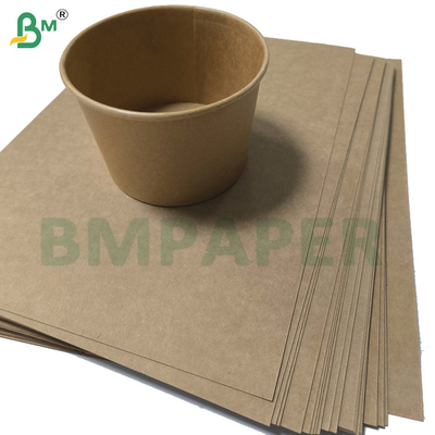 Plain Natural Brown Cup Base Paper 320g + 20g PE Coating Cupstock
