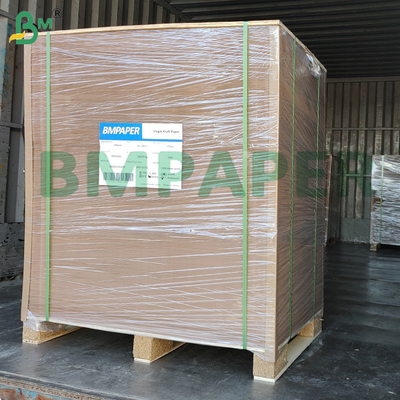 Plain Natural Brown Cup Base Paper 320g + 20g PE Coating Cupstock