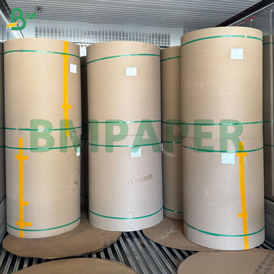 Brown Kraft Back Board 270gsm 350gsm Top White Coated Carrier Board