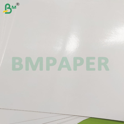 260 GSM Food Grade Moisture Resistant PE Coated Frozen Paper Sheets