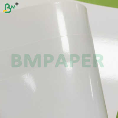 260 GSM Food Grade Moisture Resistant PE Coated Frozen Paper Sheets