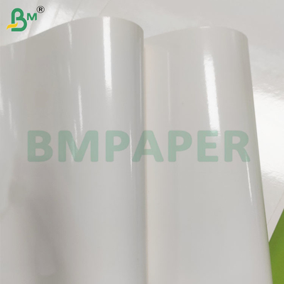 260 GSM Food Grade Moisture Resistant PE Coated Frozen Paper Sheets