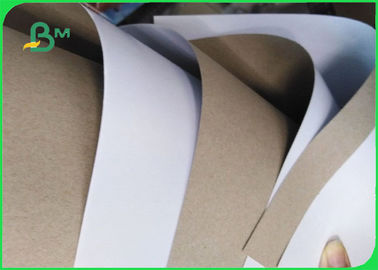 AAA Grade 230gsm Coated Duplex Board Grey Back for Carton Making