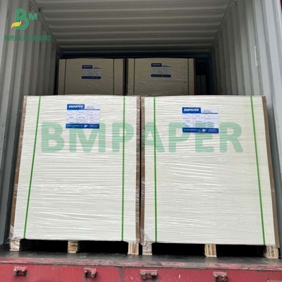 35PT 40PT Natural White Absorbent Pulpboard For Coaster Making