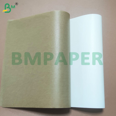 Biodegradable Food Safe Cupcake Paper Sheets with Silicone Coated