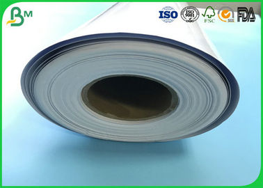 Eco - Friendly 260gsm High Glossy Photo Cardboard Paper Roll for Digital Professional Printing