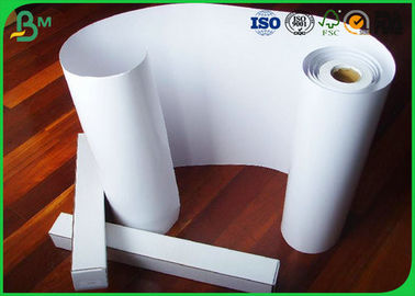 Eco - Friendly 260gsm High Glossy Photo Cardboard Paper Roll for Digital Professional Printing