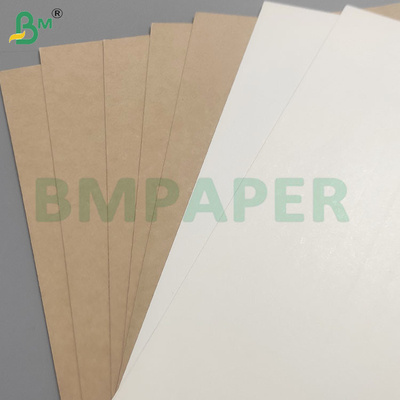Heat and Cold Resistant Leakproof PE Coated Cup Base Paper Sheets