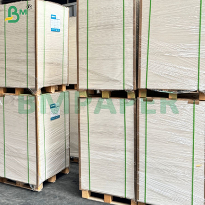 Heat and Cold Resistant Leakproof PE Coated Cup Base Paper Sheets