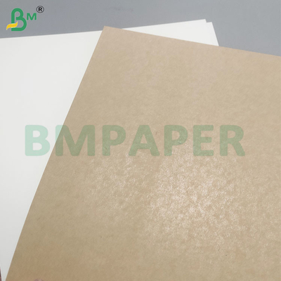Heat and Cold Resistant Leakproof PE Coated Cup Base Paper Sheets