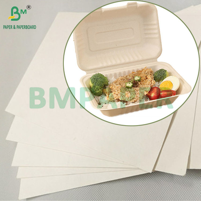 Biodegradable 100gsm - 400gsm Natural Sugarcane Bagasse Pulp Base Paper Roll