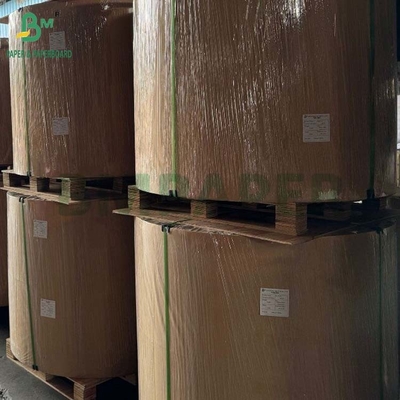 Biodegradable 100gsm - 400gsm Natural Sugarcane Bagasse Pulp Base Paper Roll