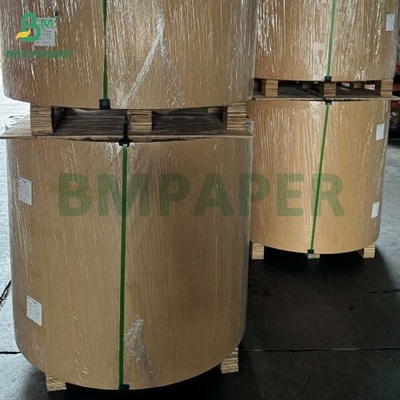 Biodegradable 100gsm - 400gsm Natural Sugarcane Bagasse Pulp Base Paper Roll