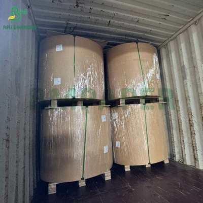 Biodegradable 100gsm - 400gsm Natural Sugarcane Bagasse Pulp Base Paper Roll