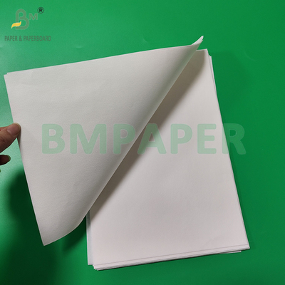 50gsm 328mm 500mm White And Brown Coffee Filter Paper Roll Food Grade