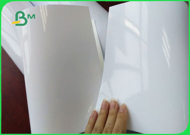 Premium Glossy Photo Cardboard Paper Roll 350gsm Rapid Dry Photo Paper