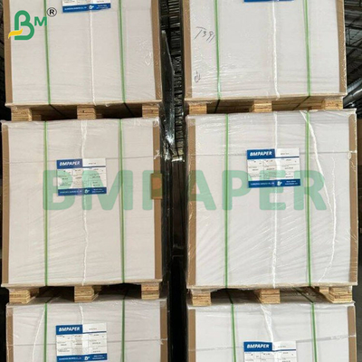 Eco-Friendly NCR Paper – Instant Duplication and No Carbon Required