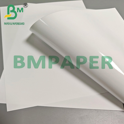 260g Waterproof Opaque Double Sides Resin Coating RC Photo Paper