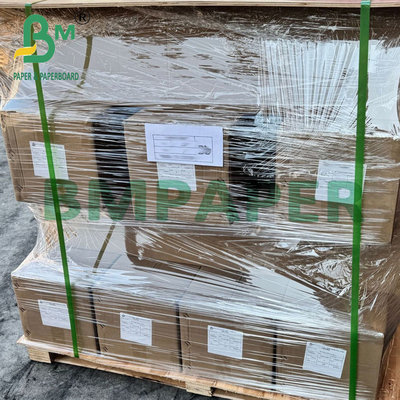 260g Waterproof Opaque Double Sides Resin Coating RC Photo Paper