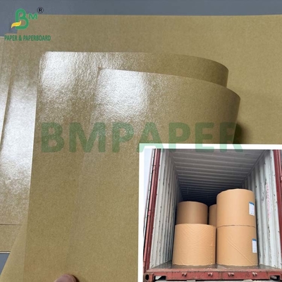 300gsm Grease Proof 1 Side PE Coated Paperboard For Lunch Box 70 x 100cm