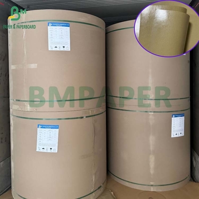 300gsm Grease Proof 1 Side PE Coated Paperboard For Lunch Box 70 x 100cm