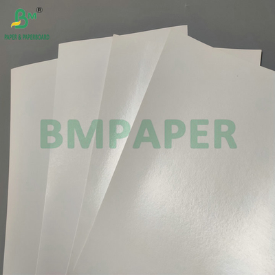 Water Resistant Single PE Coated 190gsm 210gsm Cupstock For Making Hot and Cold Paper Cups