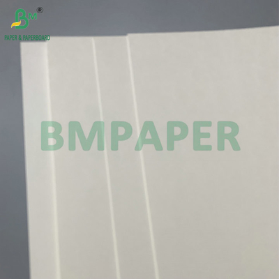 Water Resistant Single PE Coated 190gsm 210gsm Cupstock For Making Hot and Cold Paper Cups