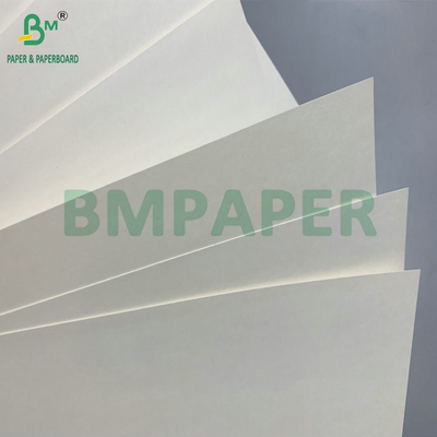 Water Resistant Single PE Coated 190gsm 210gsm Cupstock For Making Hot and Cold Paper Cups