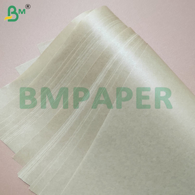 Food Safety Double Side Silicone Coated Baking Paper Rolls 30gsm