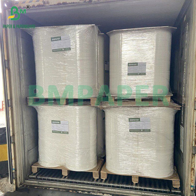50gsm  Wood Pulp Bleached And Unbleached Food Grade Coffee Filter Paper 328mm