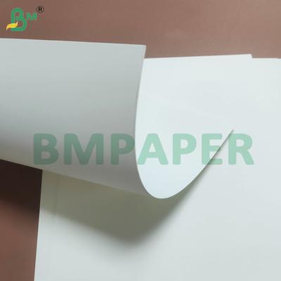 PE Coated Moisture Resistant Protection Disposable Cup Paper Rolls