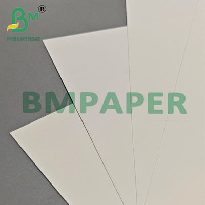 Multi Purpose 200um PET Film Paper For Export Packaging & Industrial Labels