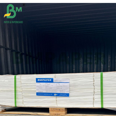 Multi Purpose 200um PET Film Paper For Export Packaging & Industrial Labels