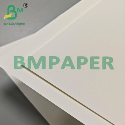 Multi Purpose 200um PET Film Paper For Export Packaging & Industrial Labels