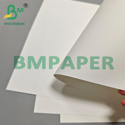 Multi Purpose 200um PET Film Paper For Export Packaging & Industrial Labels